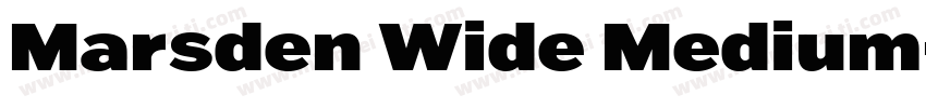 Marsden Wide Medium字体转换
